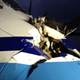 Image for article titled Here's What Happens When An Albatross Strikes A Japanese Coast Guard Plane